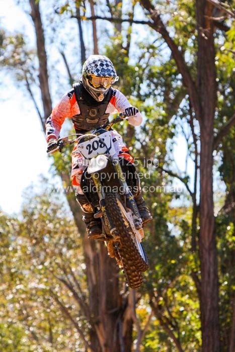 445x677 pixels (75K)